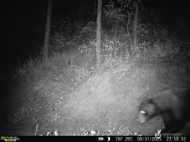 1733 Old Cc Road Property Photo 28