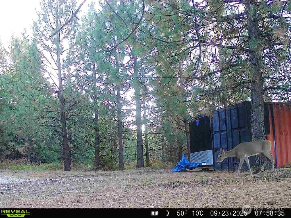 1733 Old Cc Road Property Photo 29