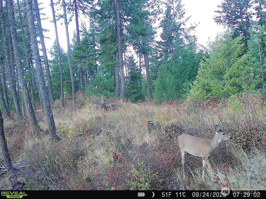 1733 Old Cc Road Property Photo 30