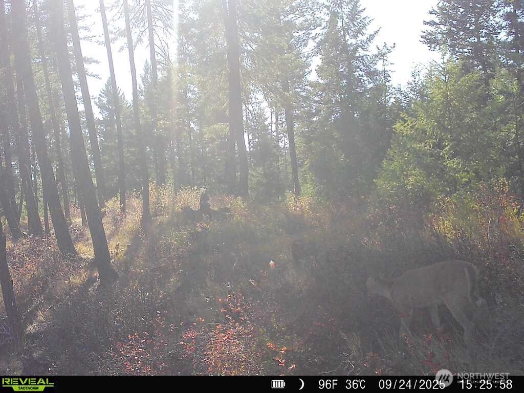1733 Old Cc Road Property Photo 31