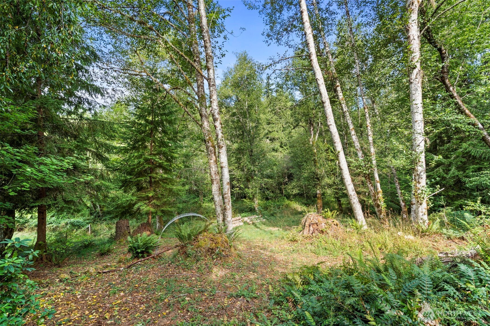 886 21 Salmon Creek Road 21 Property Photo 36