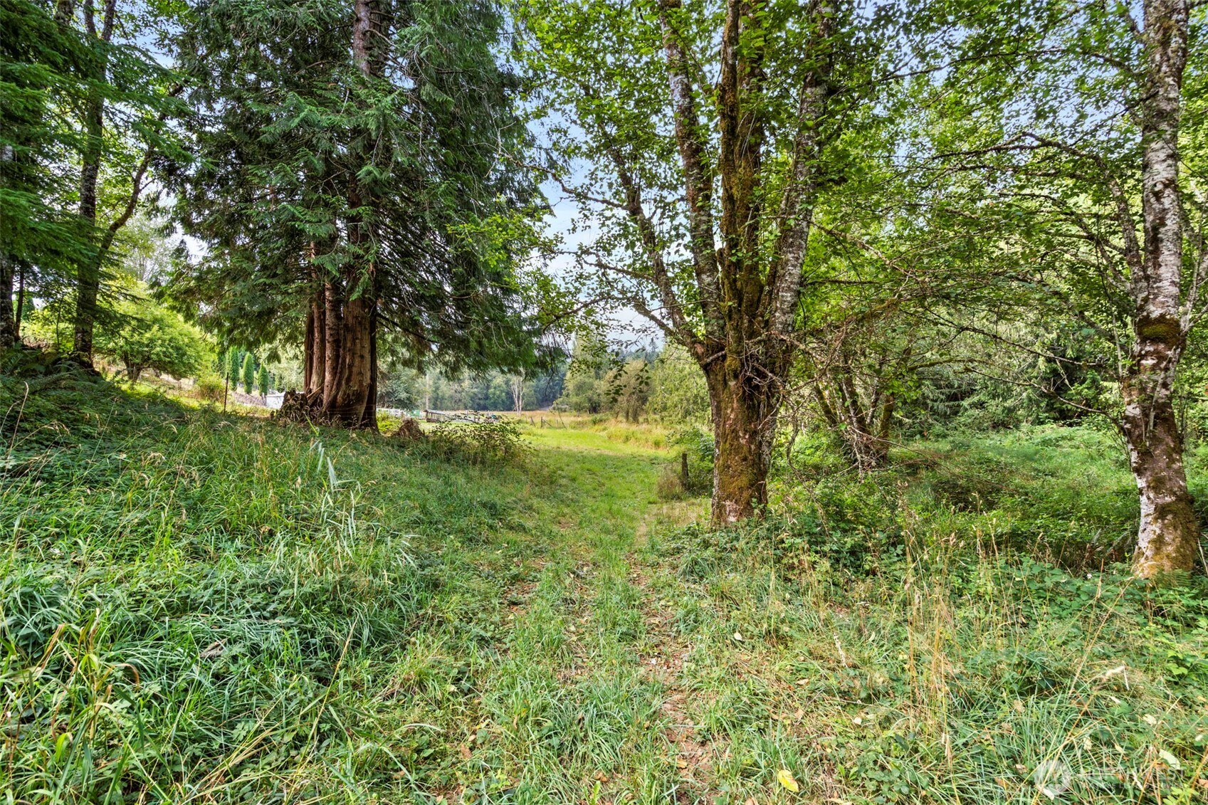 886 21 Salmon Creek Road 21 Property Photo 37