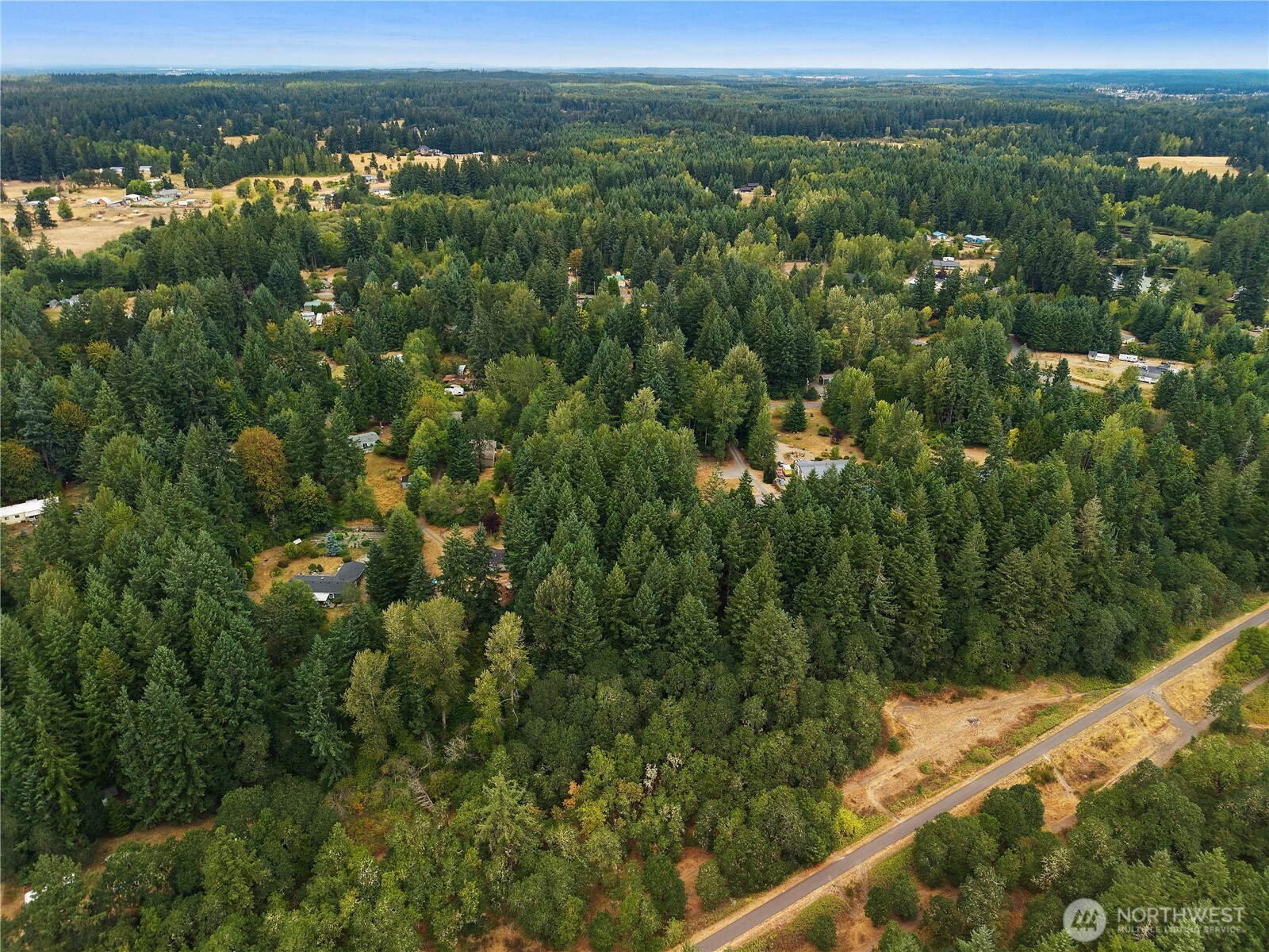 823 Tipsoo Loop Property Photo 2