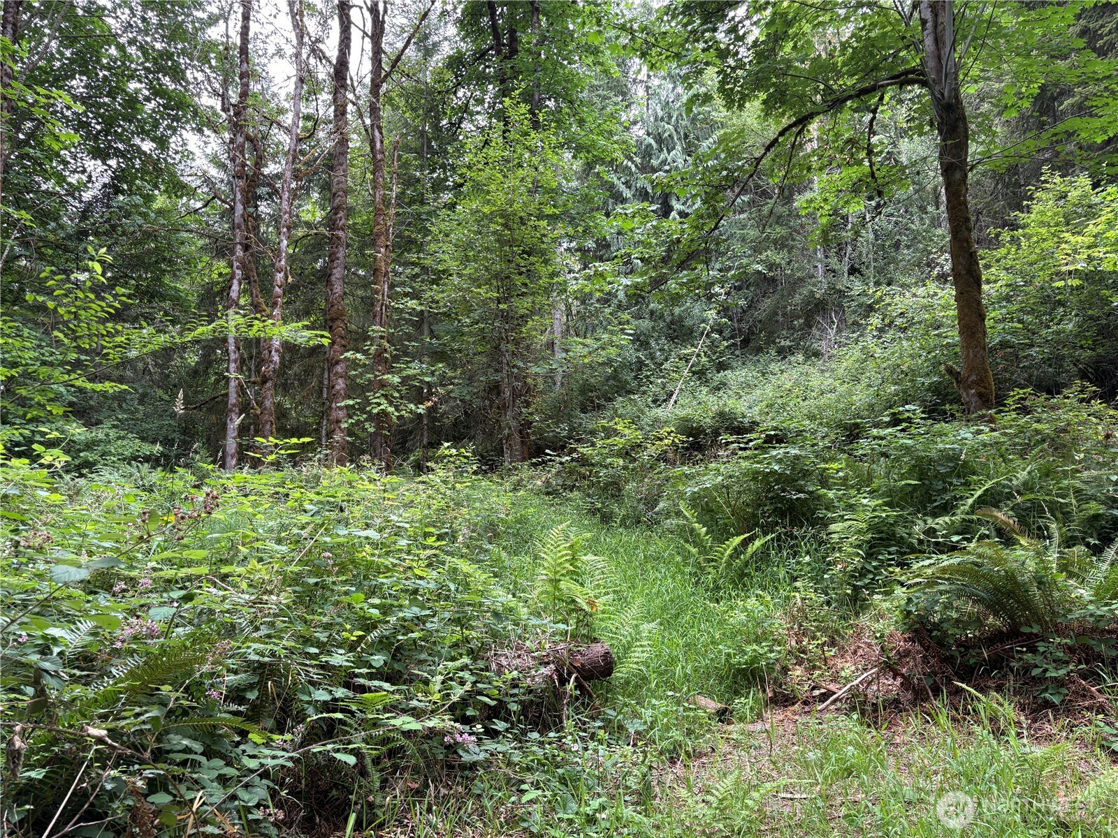 0 P#61828 Brussat Property Photo 6