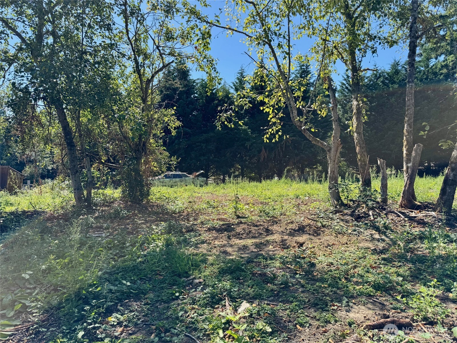 16500 107th Place Property Photo 1