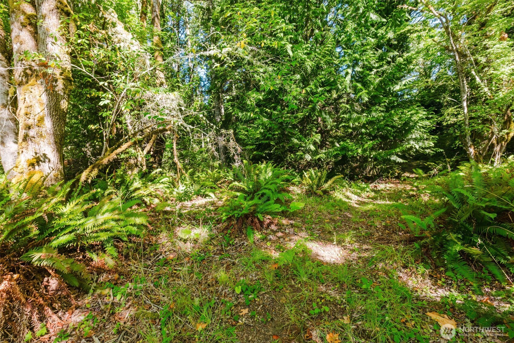 7817 E Hilldale Road Property Photo 13