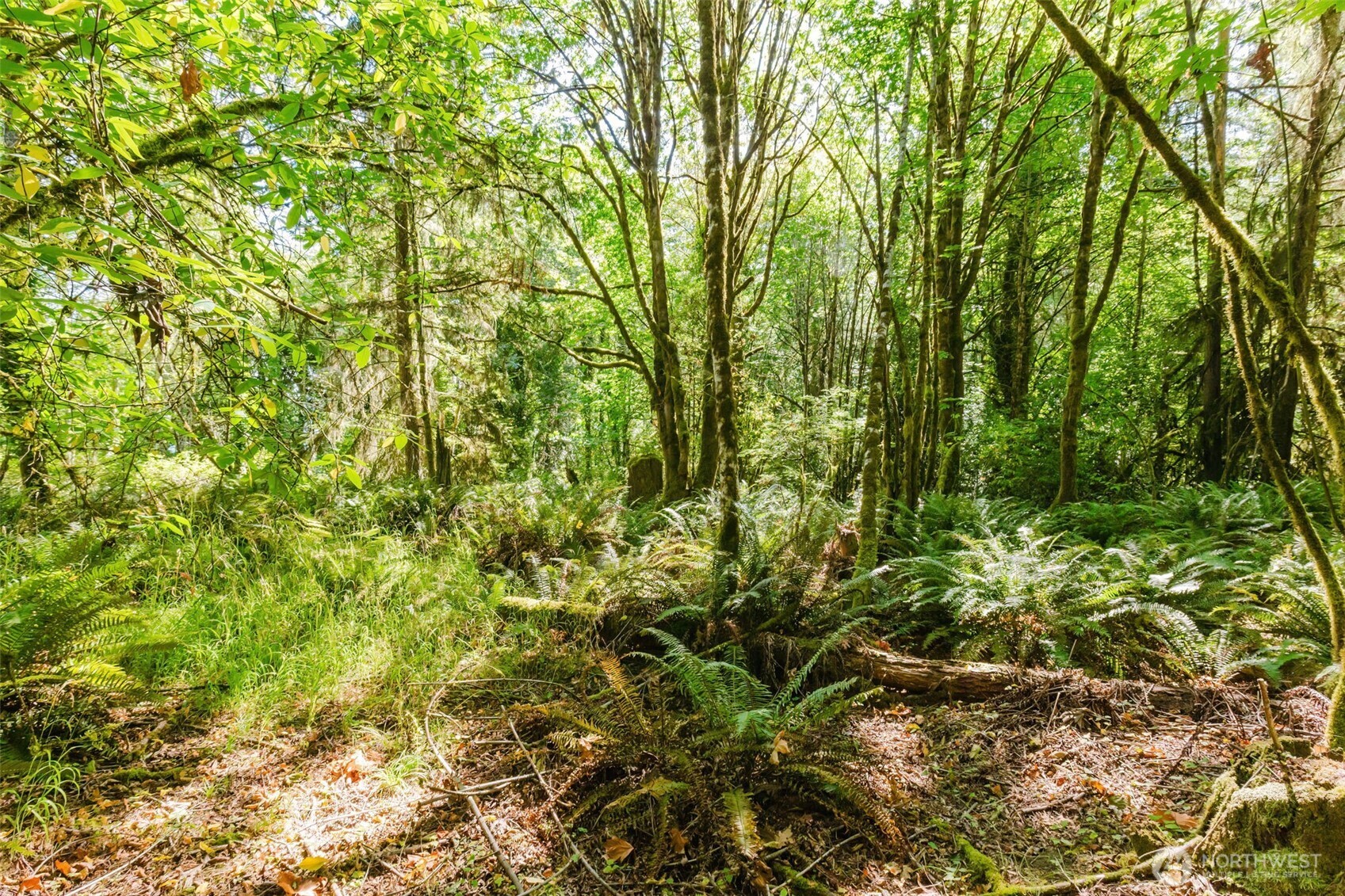 7817 E Hilldale Road Property Photo 18