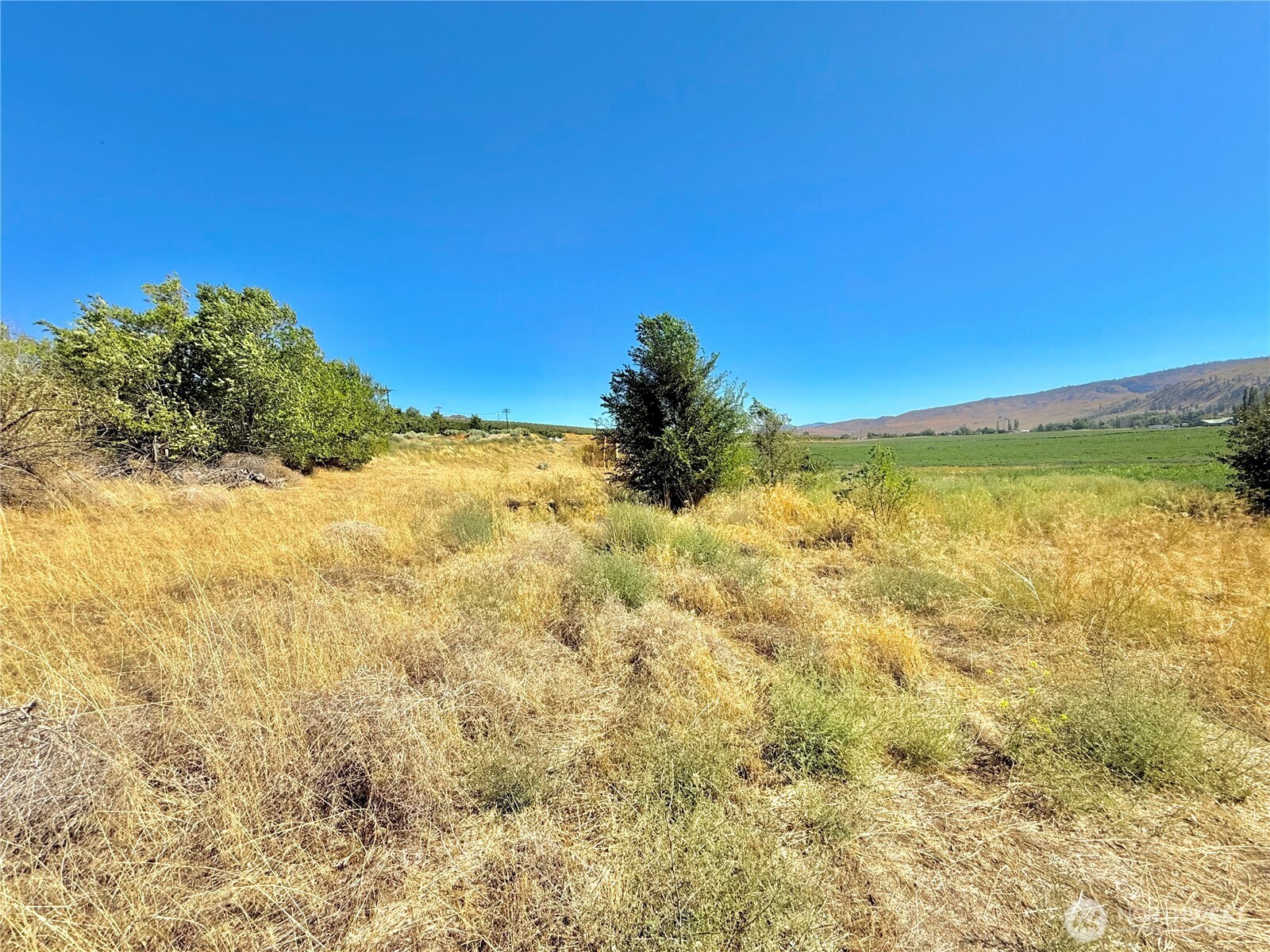 0 Tbd Old Hwy 97 Property Photo 5