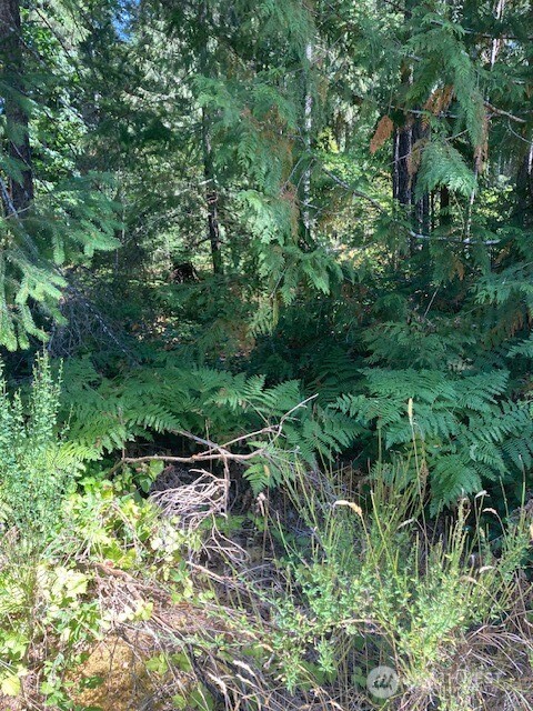 21 N Goldeneye Drive Property Photo 1