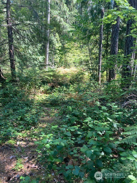 21 N Goldeneye Drive Property Photo 2