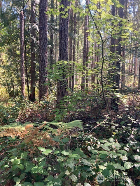 21 N Goldeneye Drive Property Photo 4