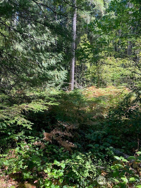 21 N Goldeneye Drive Property Photo 5