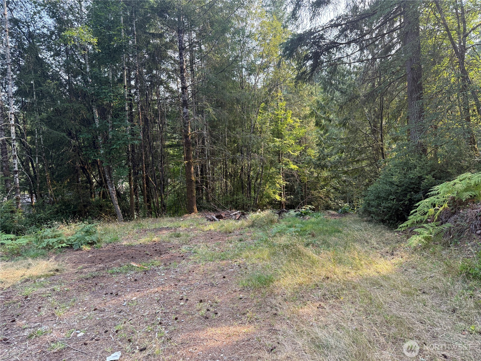31 E Tintagel Place Property Photo 4