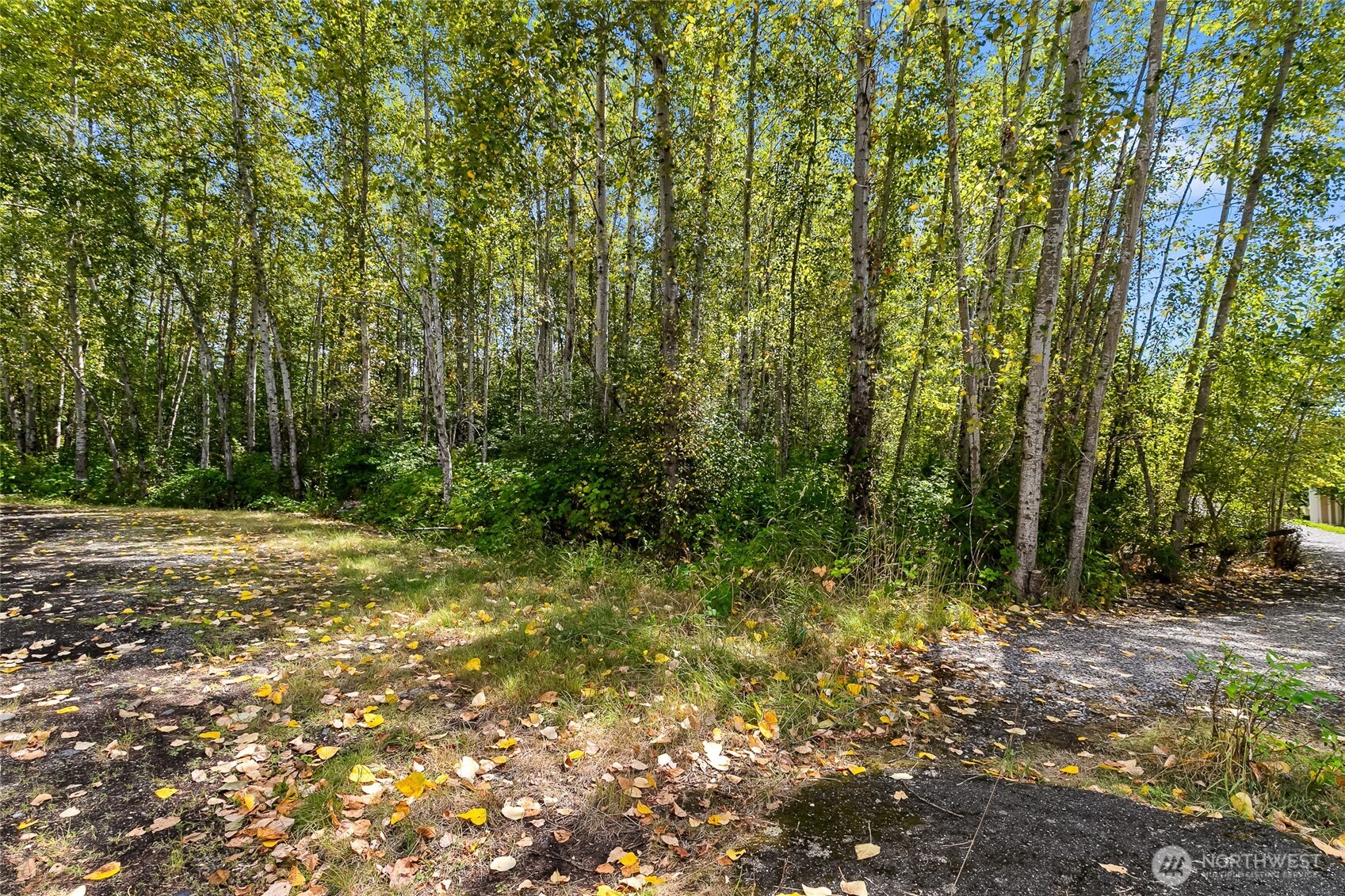 115 155 Tremont Avenue Property Photo 4