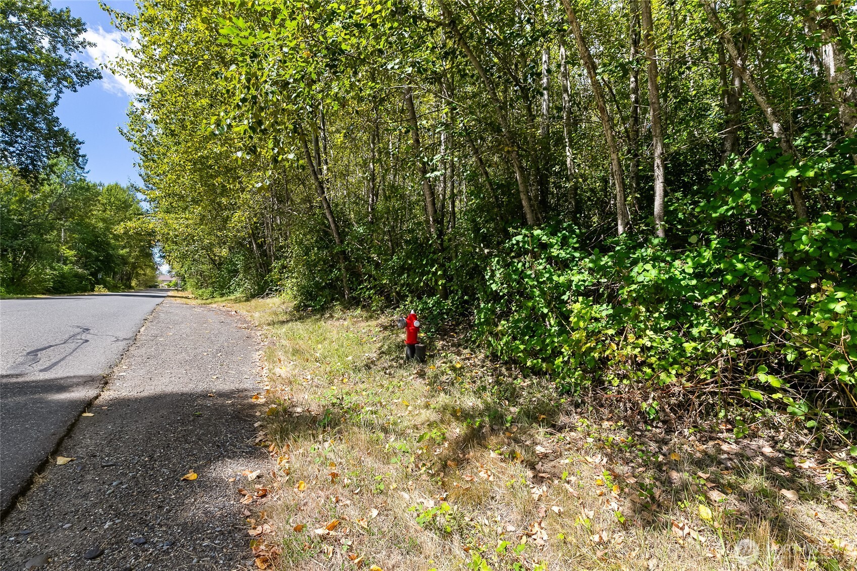 115 155 Tremont Avenue Property Photo 10