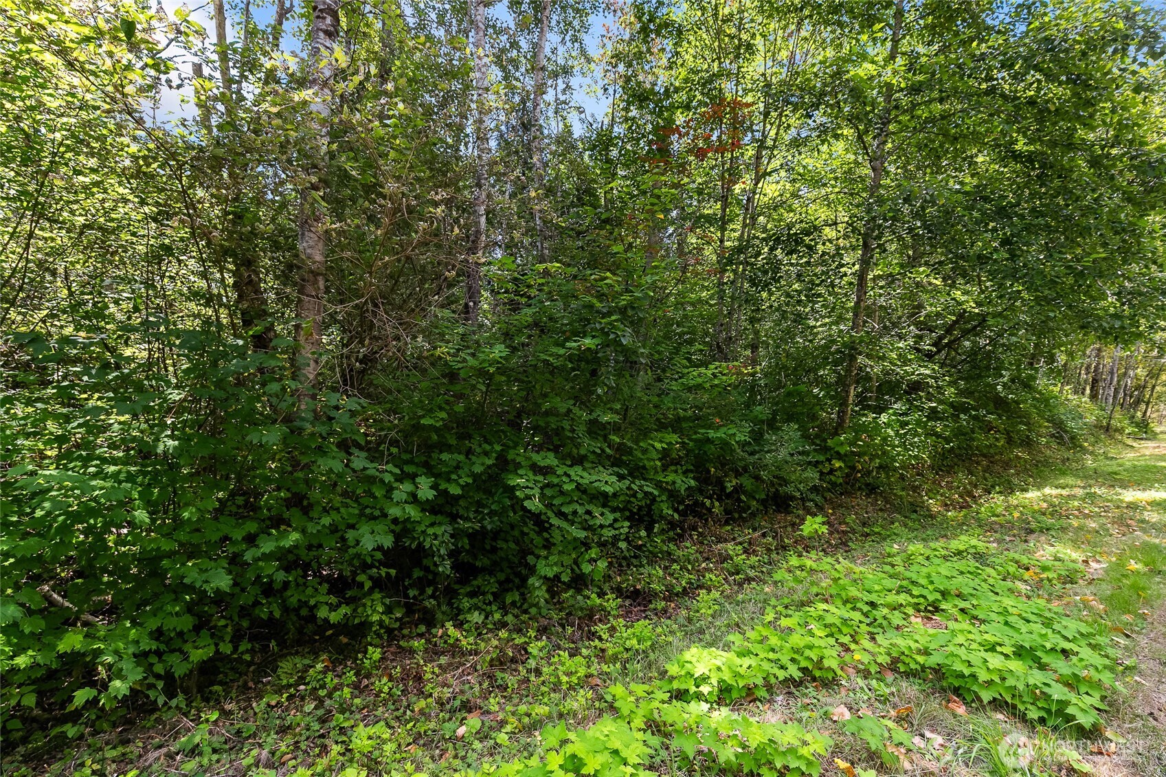 115 155 Tremont Avenue Property Photo 13
