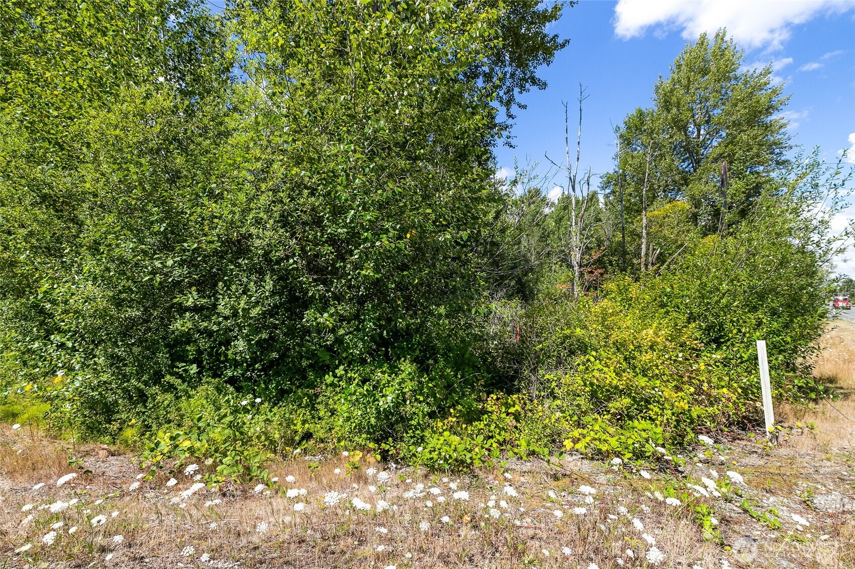 115 155 Tremont Avenue Property Photo 18
