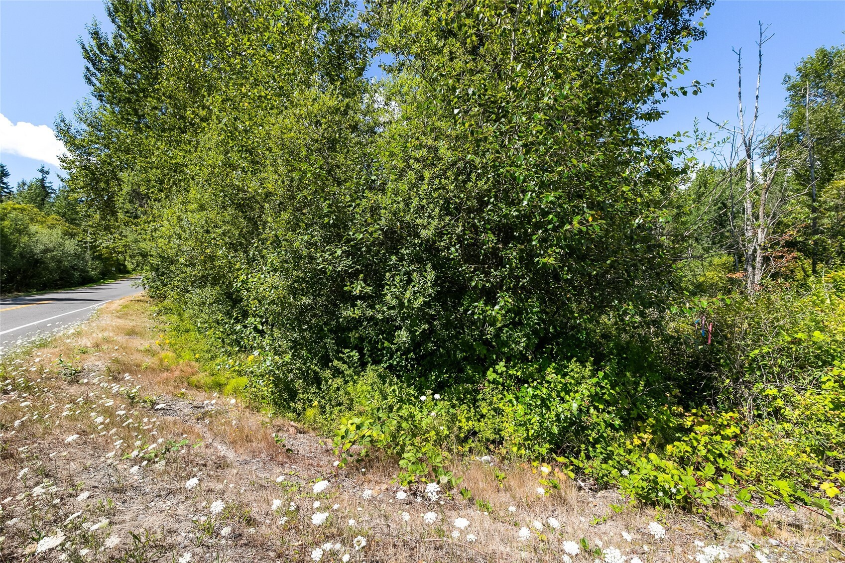 115 155 Tremont Avenue Property Photo 19