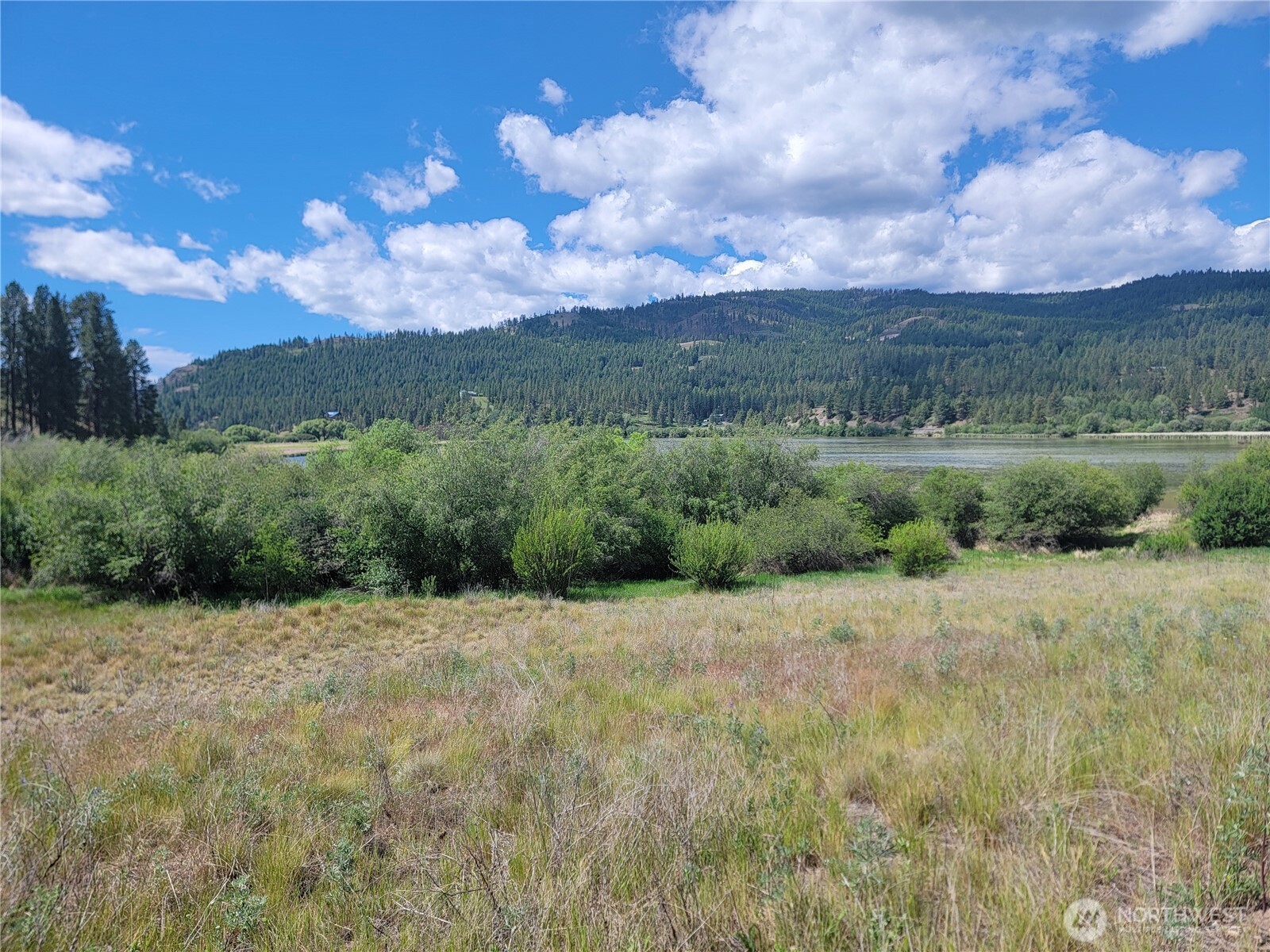 0 Curlew Drive Property Photo 4