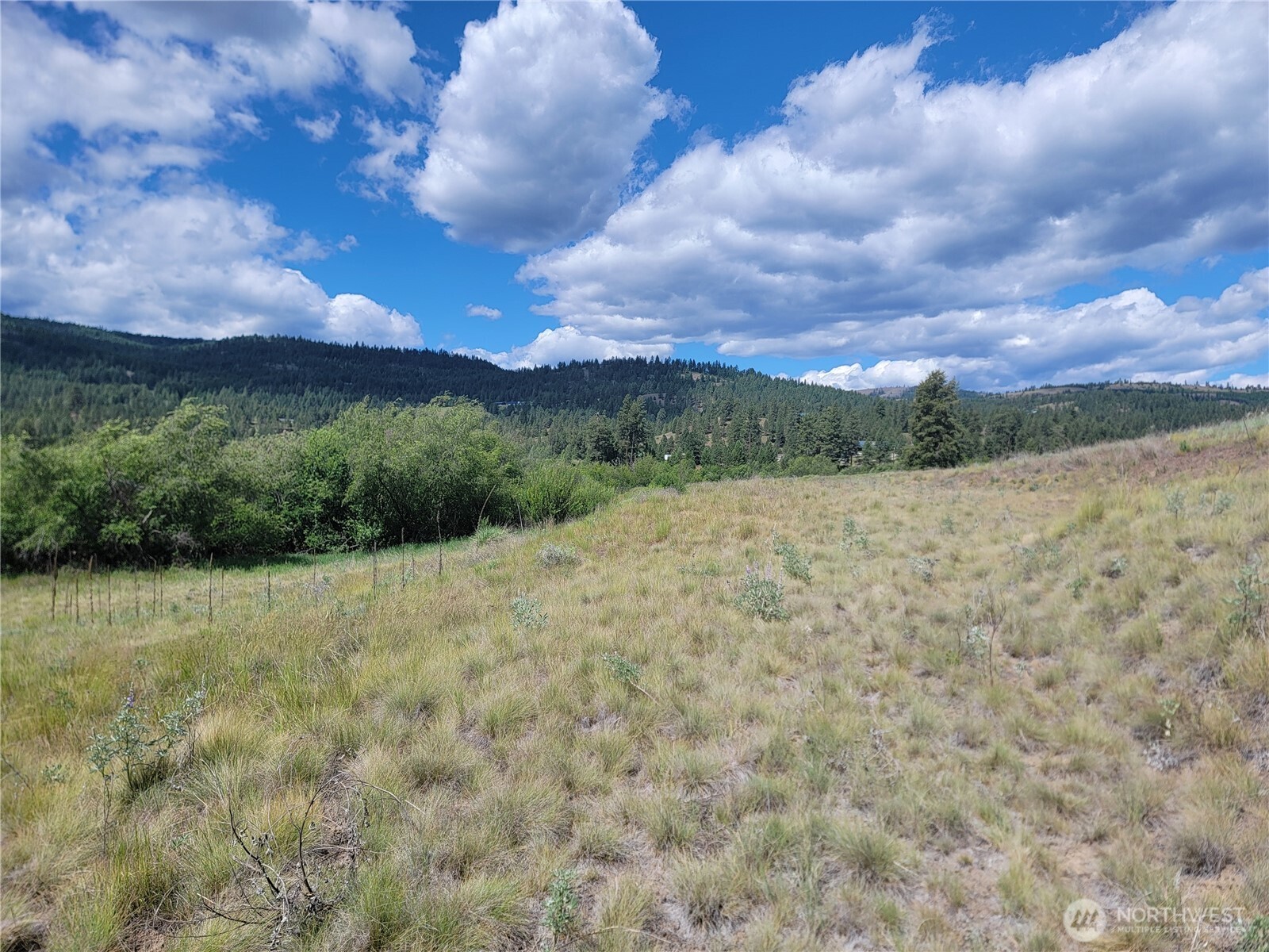 0 Curlew Drive Property Photo 5