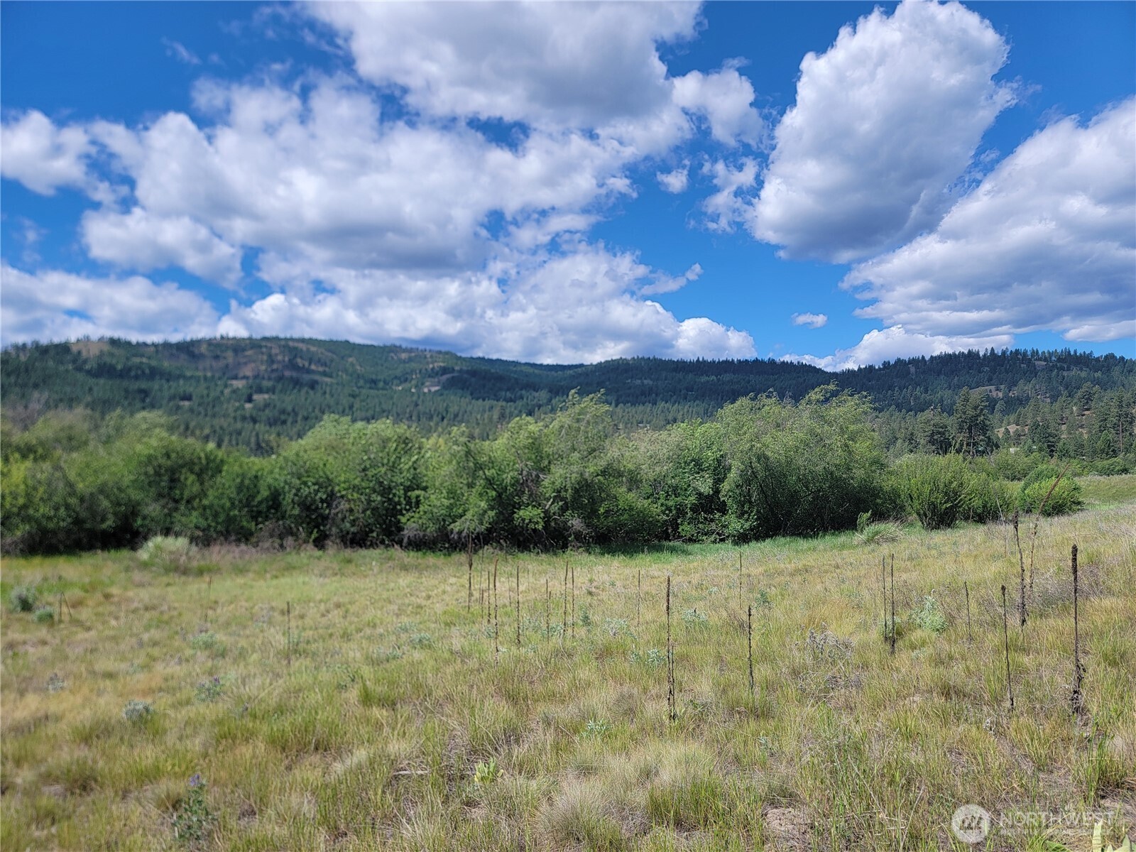 0 Curlew Drive Property Photo 6