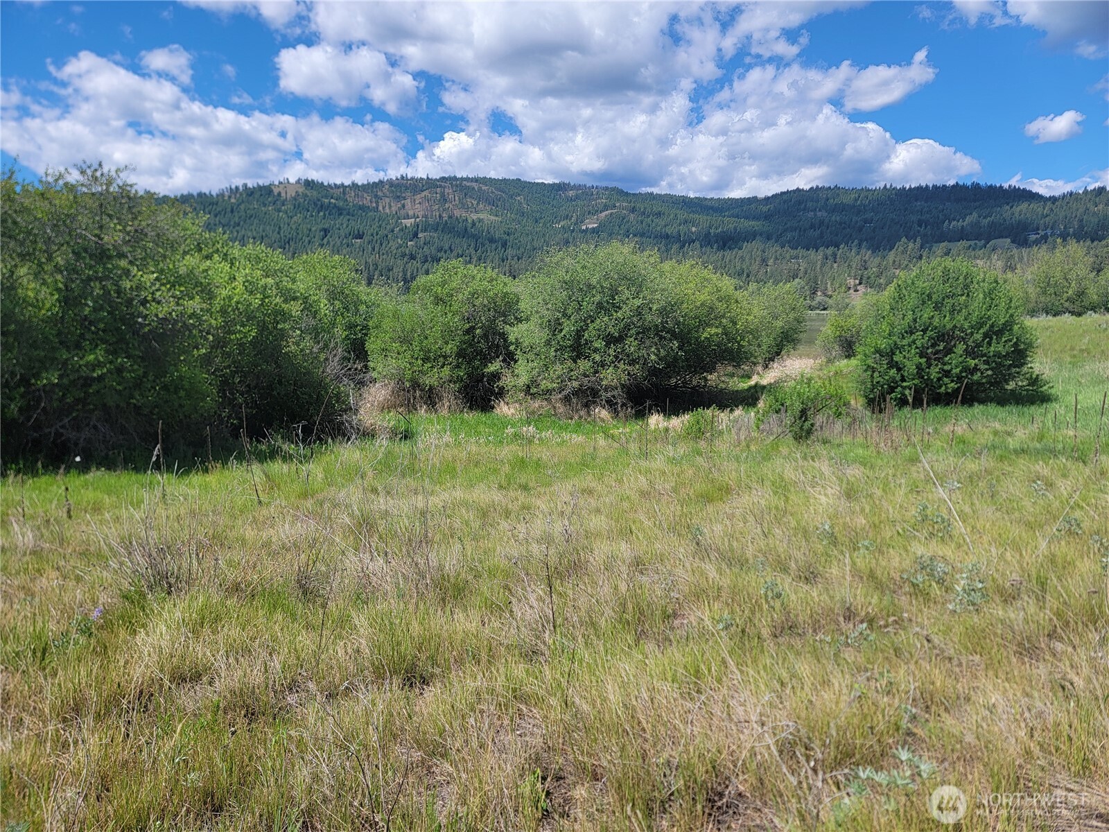 0 Curlew Drive Property Photo 7
