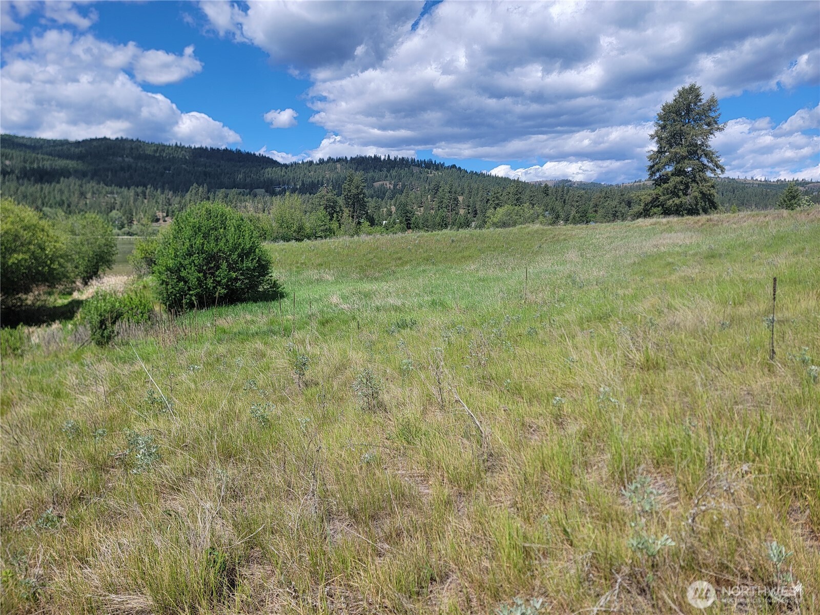 0 Curlew Drive Property Photo 8