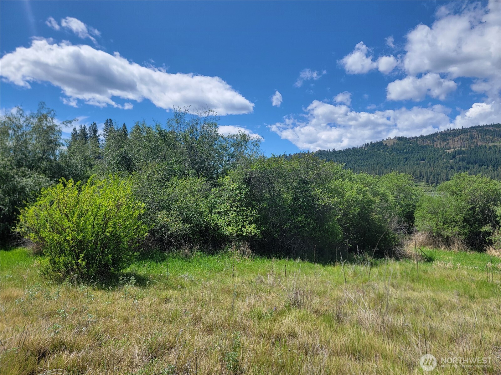 0 Curlew Drive Property Photo 9