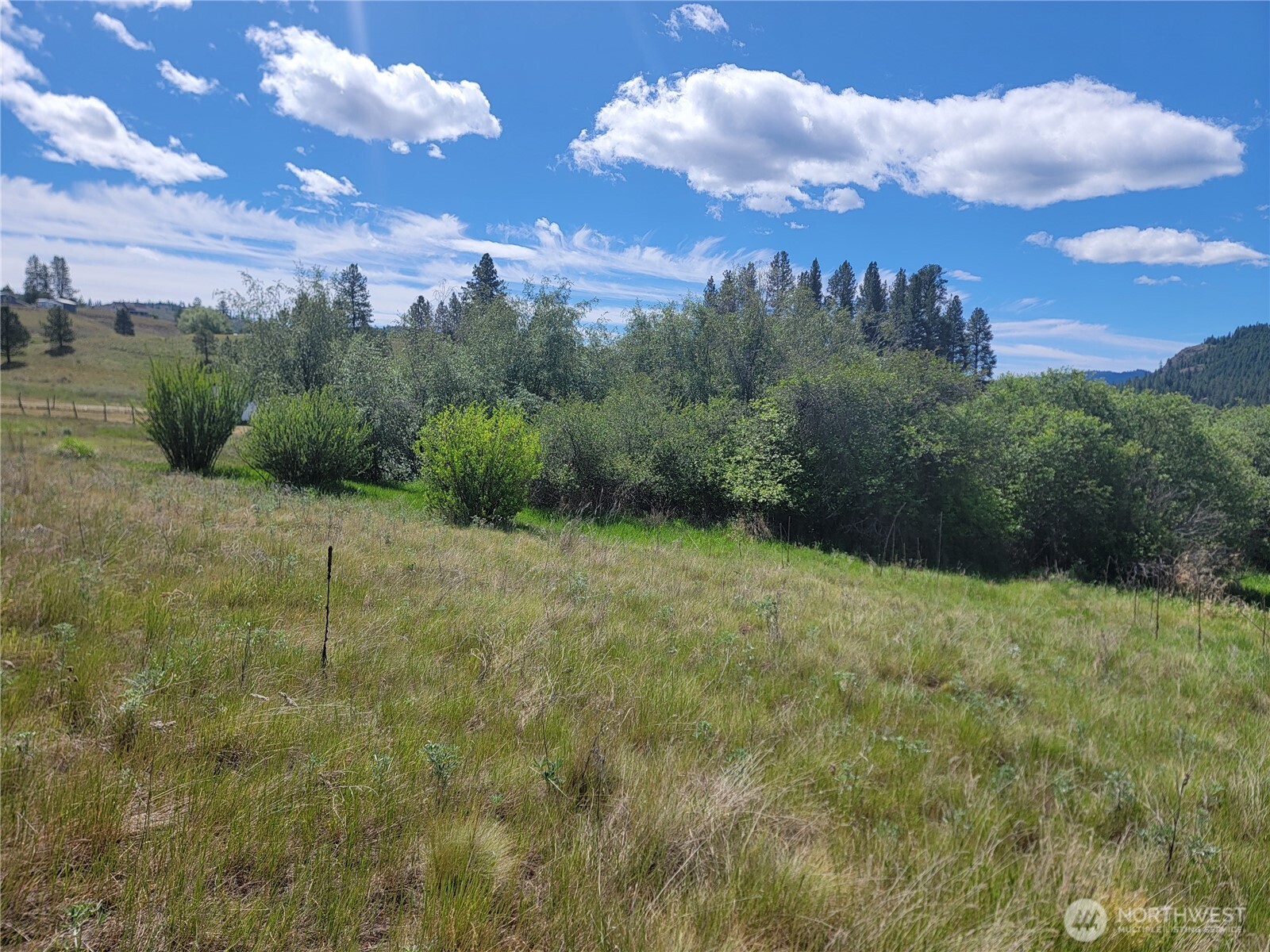 0 Curlew Drive Property Photo 11