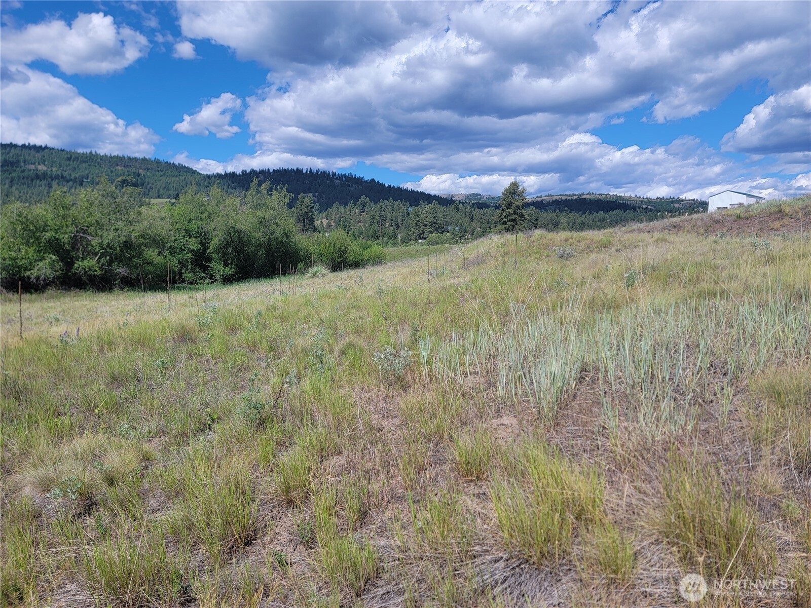 0 Curlew Drive Property Photo 12