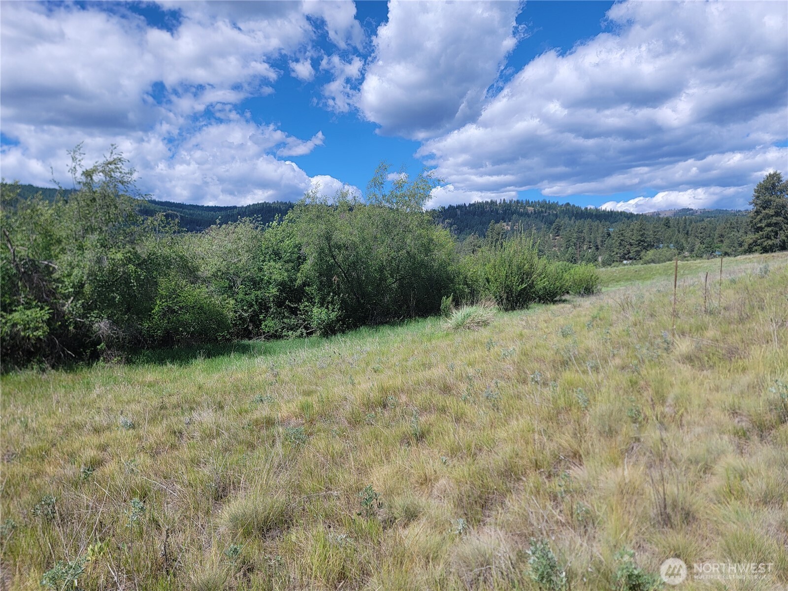 0 Curlew Drive Property Photo 13