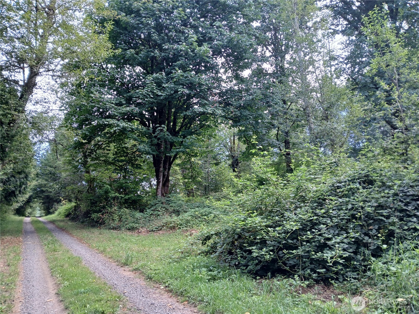 0 Boyd Road Property Photo 1
