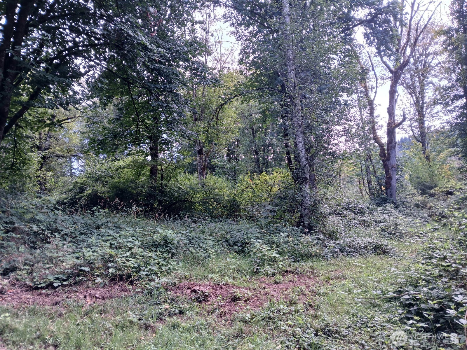 0 Boyd Road Property Photo 3