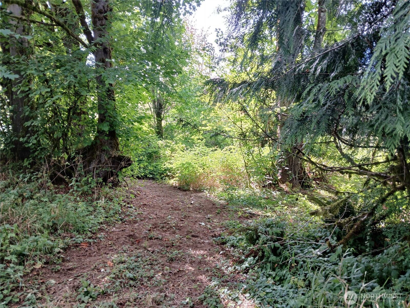 0 Boyd Road Property Photo 6