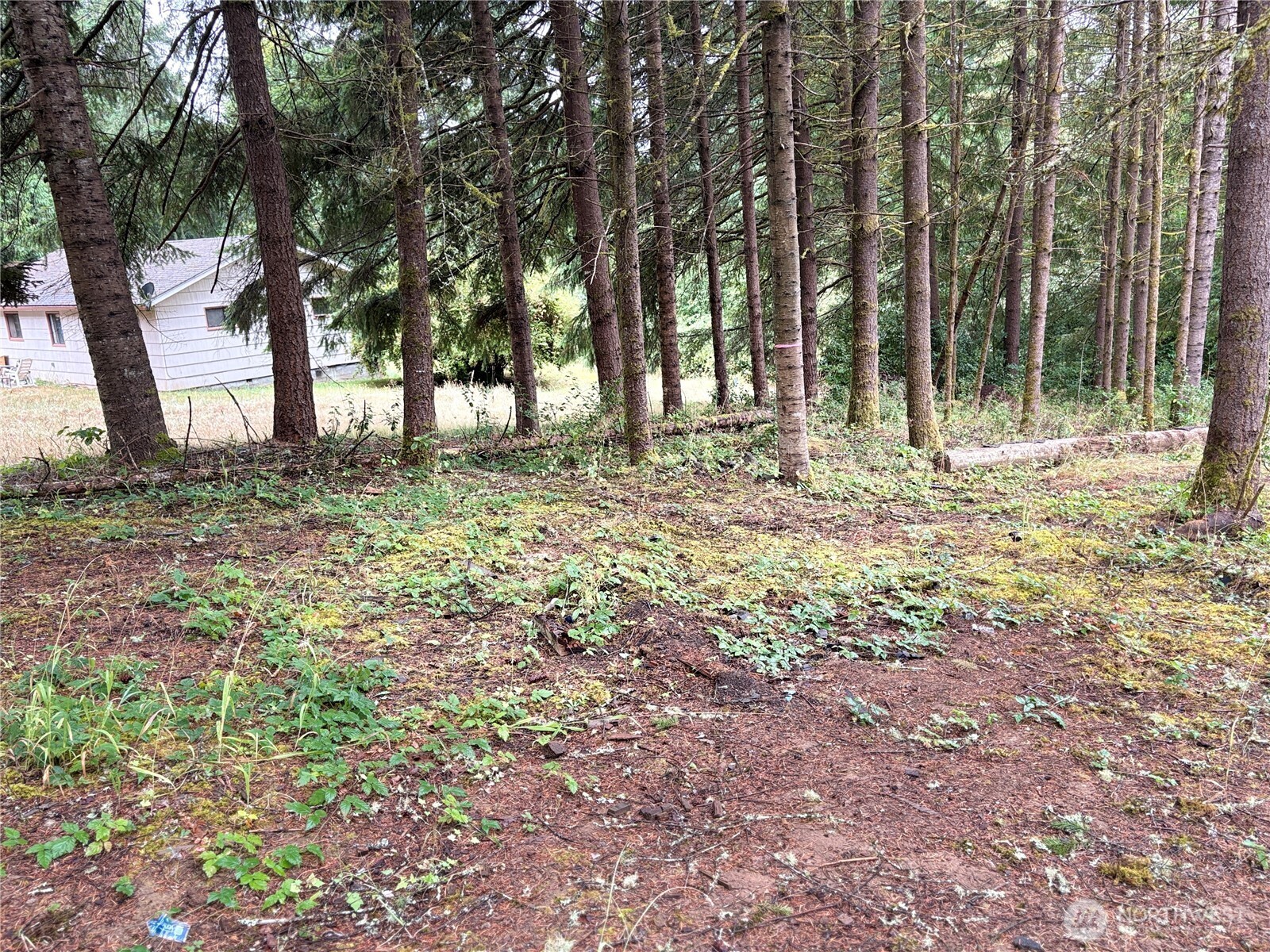 0 Lot B-d Se Rose Street Property Photo 10