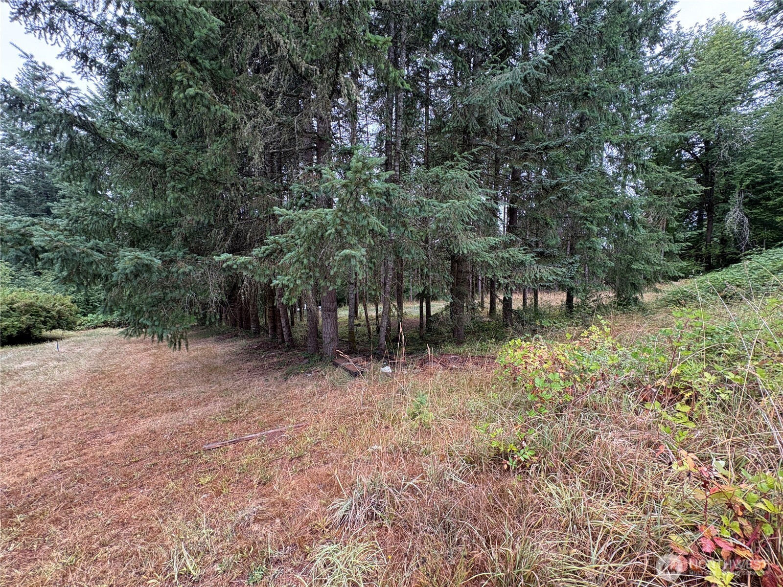 0 Lot B-d Se Rose Street Property Photo 13