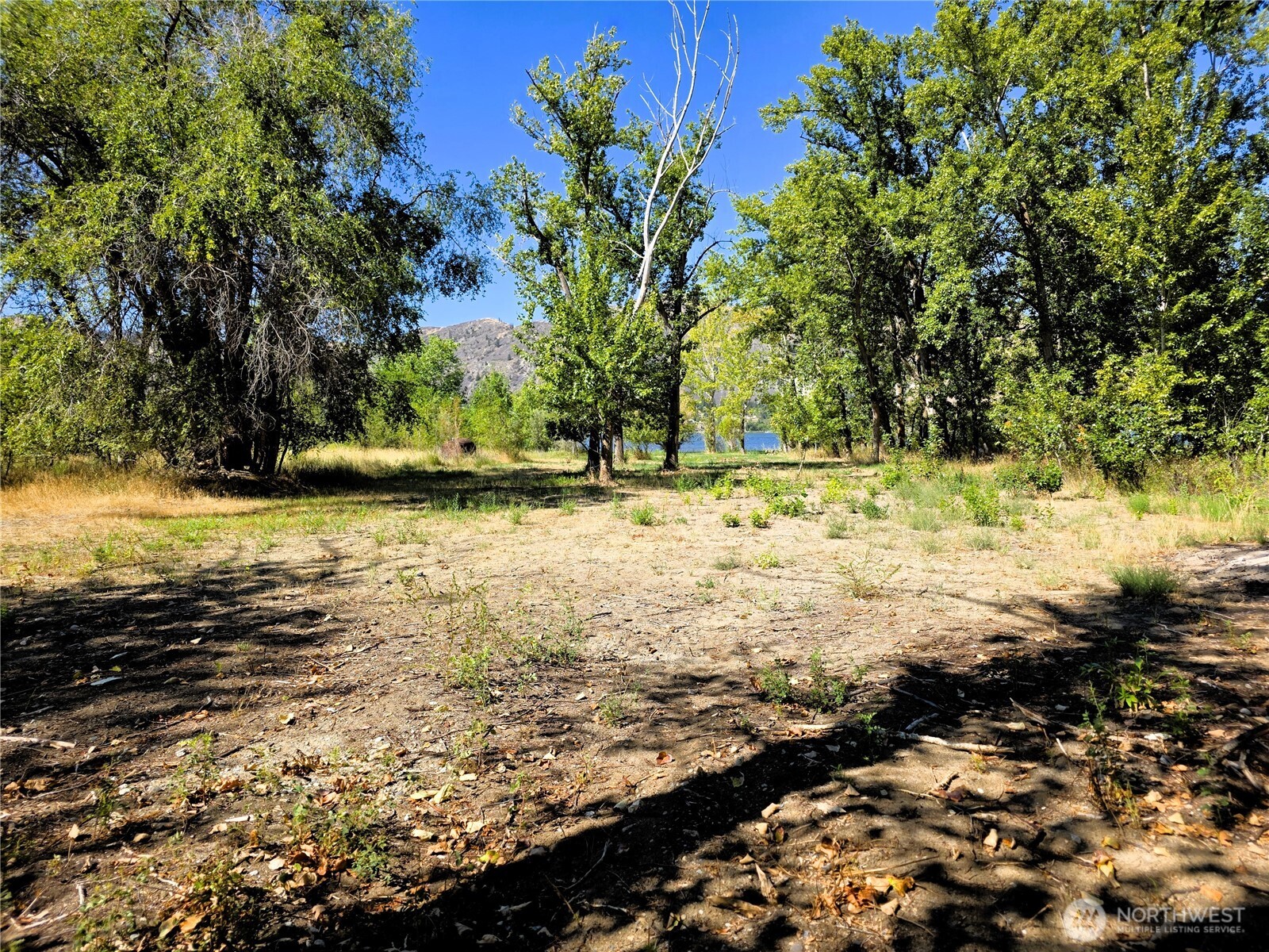 0 Hard Cider Drive Property Photo 10