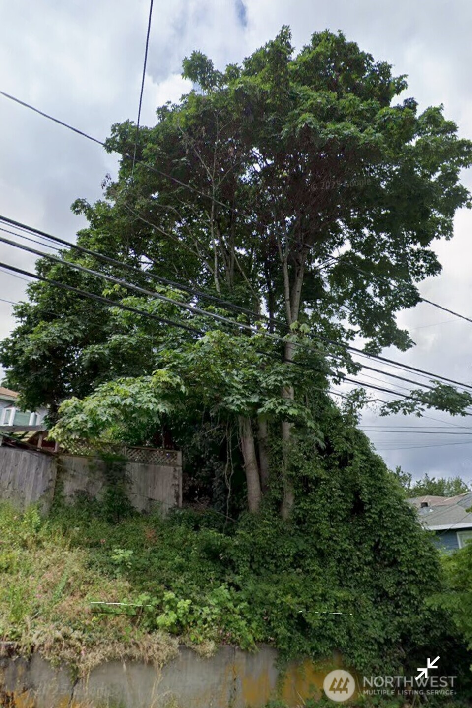 809 26th Avenue Property Photo 1