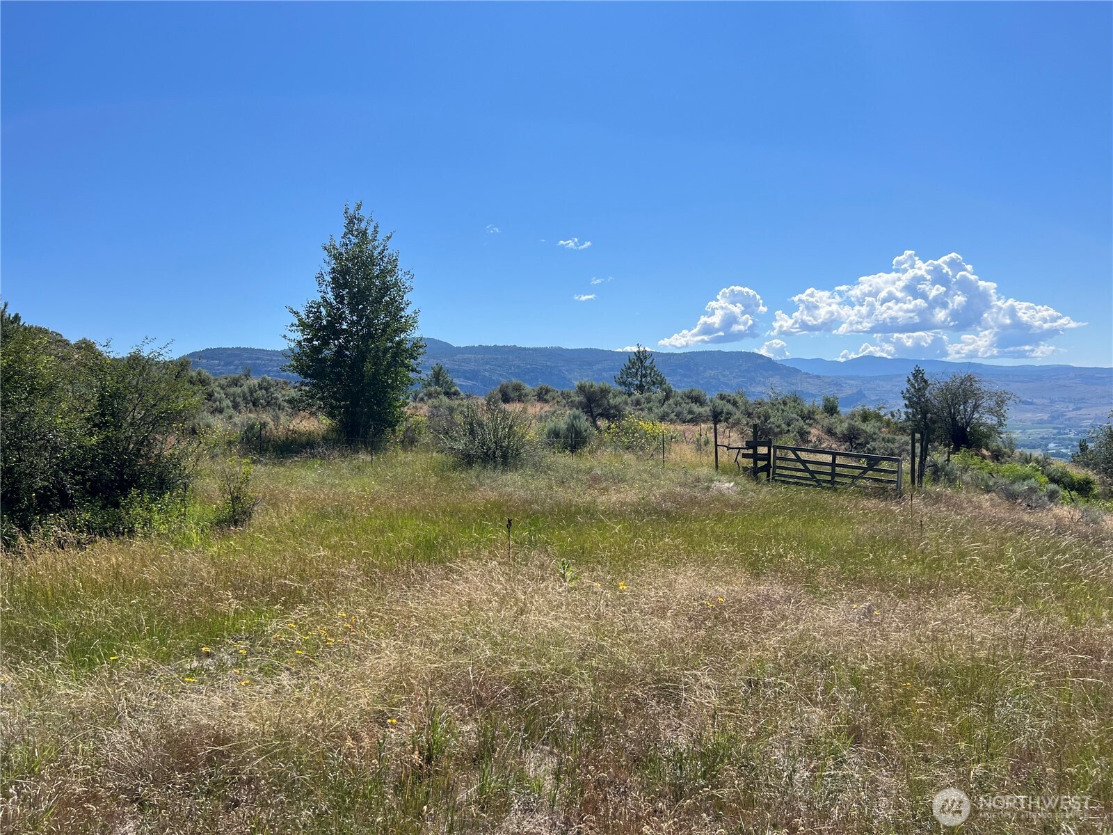 113 Eagles Bluff Road Property Photo 25