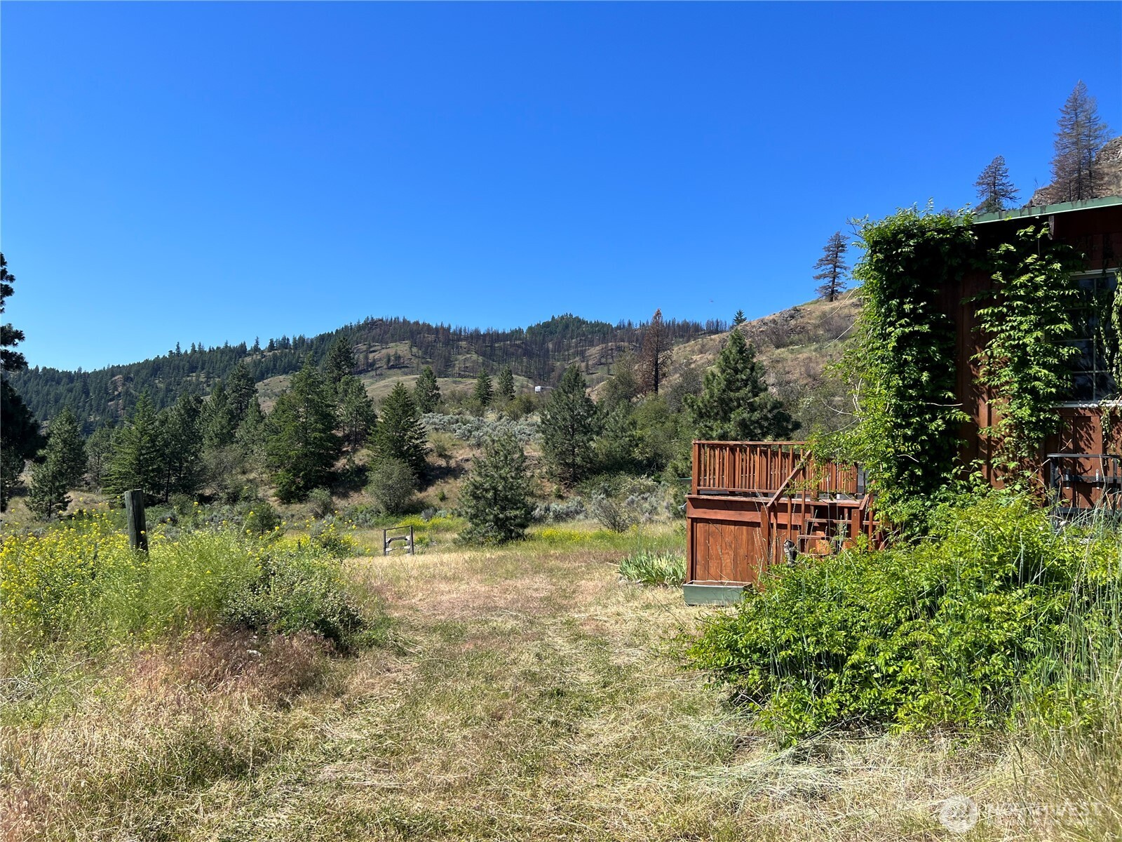 113 Eagles Bluff Road Property Photo 30