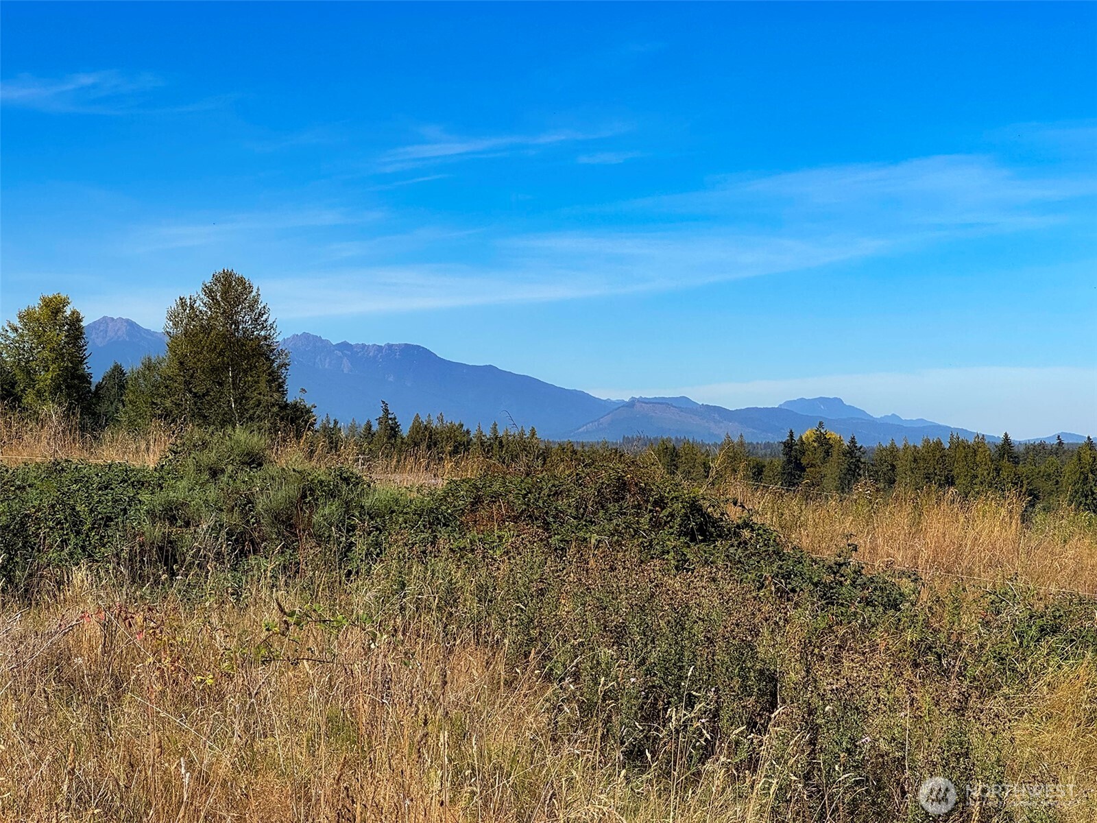 463 Miller Road Road Property Photo 16