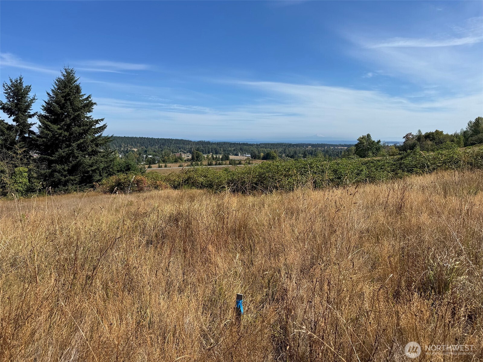 463 Miller Road Road Property Photo 17