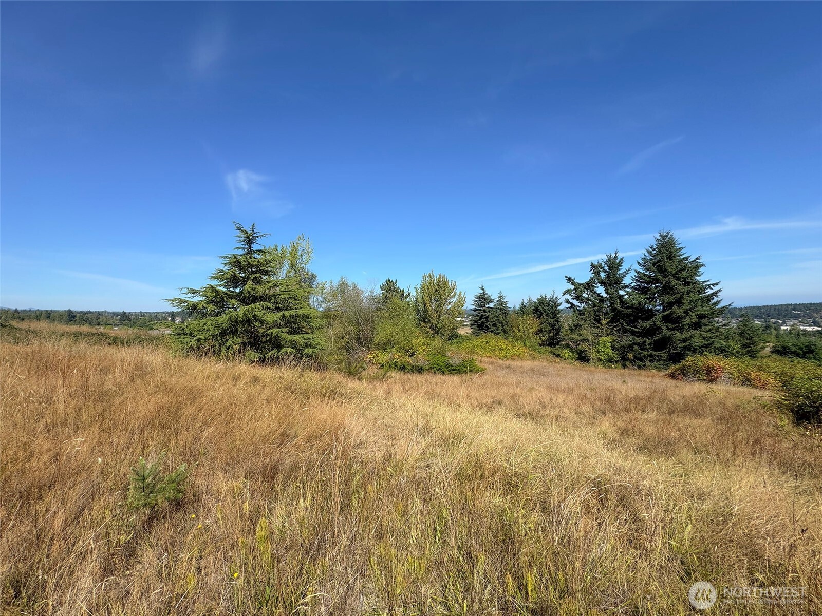 463 Miller Road Road Property Photo 21