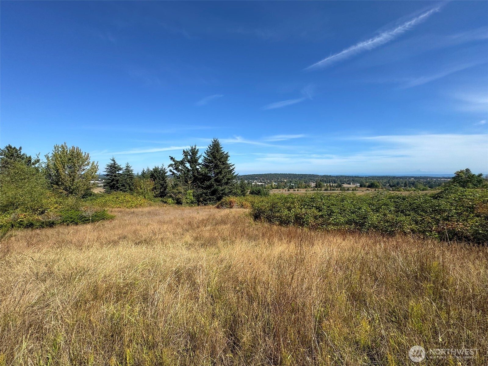 463 Miller Road Road Property Photo 22