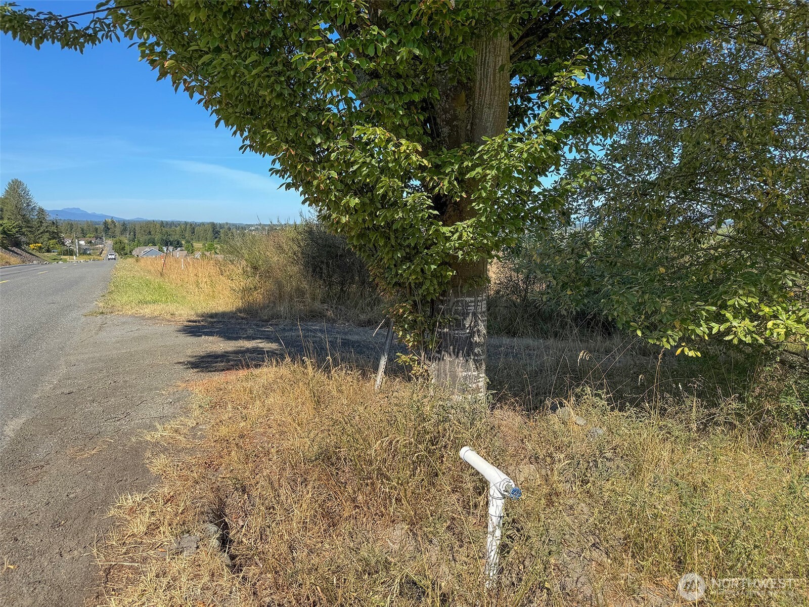 463 Miller Road Road Property Photo 28