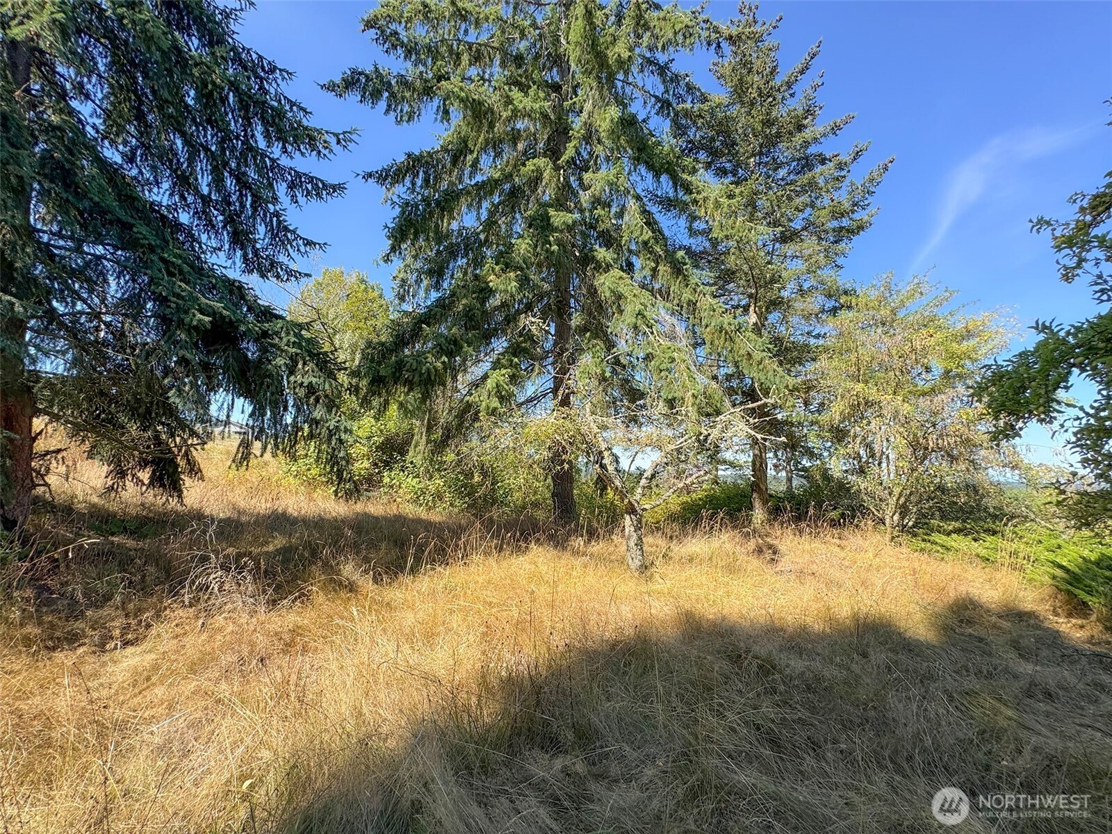 463 Miller Road Road Property Photo 33