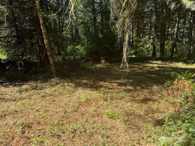 20325 Bucoda Highway Property Photo 3