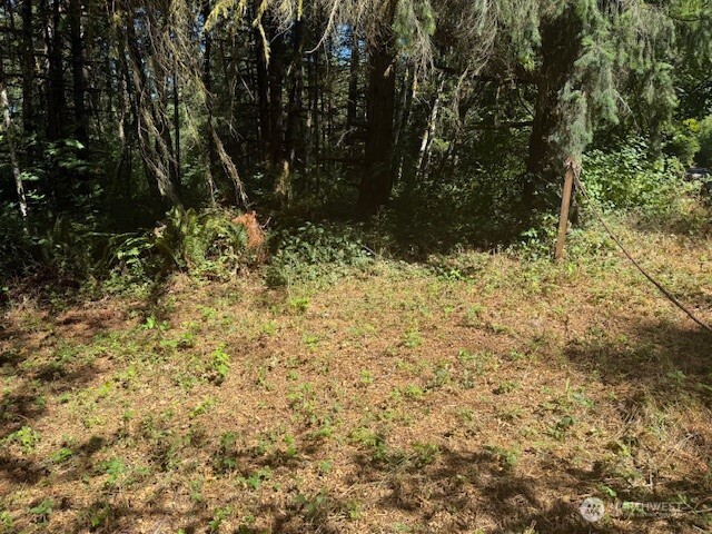 20325 Bucoda Highway Property Photo 4