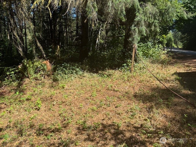 20325 Bucoda Highway Property Photo 5