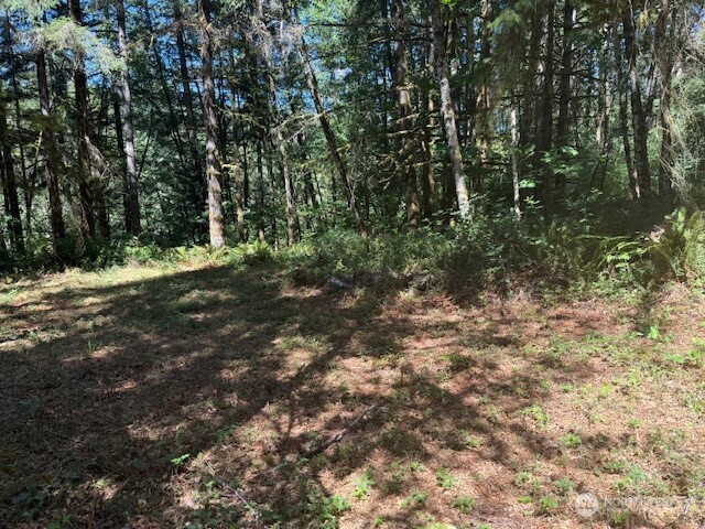 20325 Bucoda Highway Property Photo 6